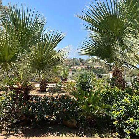 Pool, Garten Und Aussicht, 4km Von Lejlighed