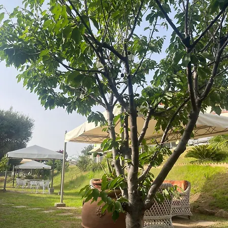 Pool, Garten Und Aussicht, 4km Von * Tropea